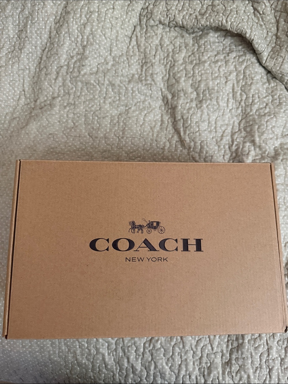Coach Tan Logo Velcro Strap Sandals Brynn Sandalin Crystal Signature Tan 8.5B - Picture 11 of 11
